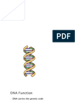 GMO and Gene Therapy