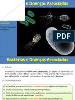 Aula 4 - Introduã Ã o A Bacteriologia 2