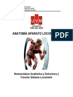 Catedra Sistema Locomotor Anatomia