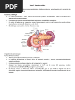 Diabetes Mellitus Parte 1