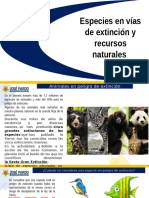 Animales en Extinsión