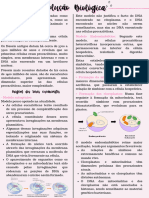 Evolução - Biologia 11º Ano