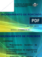 Porcinos 2011