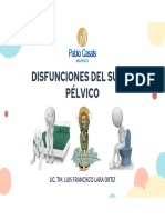 Disfunciones Del Suelo Pélvico 2024-I.