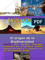 Evolución