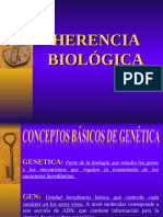 Conceptos de Herencia