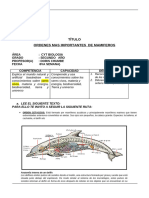 Guia Ordenes Mas Importantes Mamiferos 2do Año Biologia