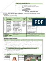 SESION de APRENDIZAJE Enfermedades y Cuidados Del Sistema Respiratorio