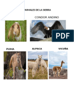 Animales de La Sierra