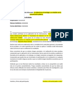 Carta de Consentimiento Informado 2