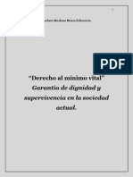 Derecho Al Mínimo Vital, Garantia de Dignidad y Supervivencia en La Sociedad Actual. Herbert Echeverria. Guatemala.