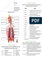 Individual Activity 2