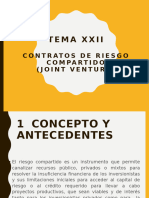 Tema 22 Riesgo Compartido Joint Venture