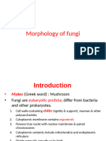 Morphology Fungi