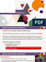 Grupo de Animais VF 2