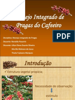 MIP - Café