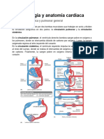 Fisiología y Anatomía Cardiaca