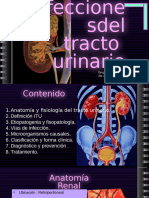 Itu PDF