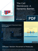 The Cell Membrane A Dynamic Barrier