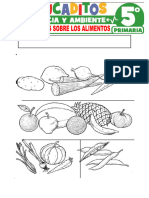 Actividades Sobre Los Alimentos para Quinto Grado de Primaria