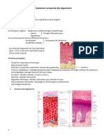 Anatomie Comparée Des Téguments