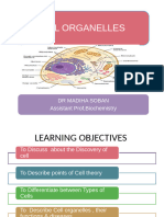 Cell Organalles