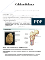 Bone and Calcium Balance Notes