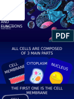 Group 1 Bio CELLS