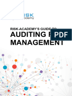 Guide To Auditing Risk Management VF