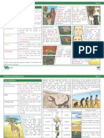 Evolution and Inheritance - Super Eco Colour