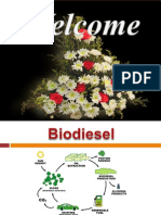 BiodIesel 08ME067