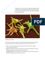 MCB211 Structure, General Characteristics and Reproduction of Protozoa and Rickettsia