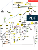 Mapa Conceptual Sistema Inmune Innato - Kuby