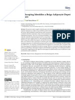 Transcriptional Landscaping Identifies A Beige Adipocyte Depot in The Newborn Mouse