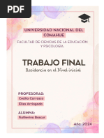 Trabajo Final Residencia