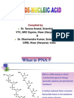 Peptide Nucleic Acid