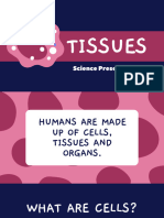 Tissue Slides