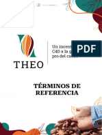 Términos de Referencia THEO