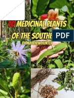 Ea88c4c-7065-76ad-C468-Cae212ff17 10 Medicinal Plants of The Southeast Compressed