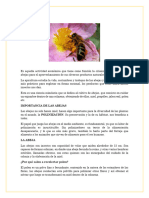 Importancia de Las Abejas