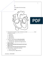 Human Circulatory System - 9