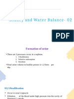 Kidney and Water Balance - 2