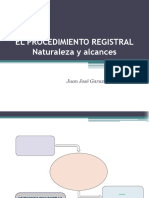 EL PROCEDIMIENTO REGISTRAL. Naturaleza y Alcances