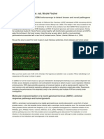 Research Group Dr. Rer. Nat. Nicole Fischer: Development and Use of DNA Microarrays To Detect Known and Novel Pathogens