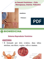 Apresentação de Hormonios Femininos 02