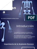 Anatomía Humana