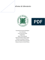 Informe 5 Quimica Soluciones