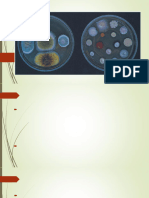  Microbial Biotechnology Scope Techniques 