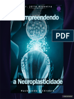 1 Entendendo A Neuroplanticidade