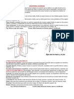 Sistema Oseo 2024